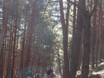 Cordel del Puerto de la Morcuera;excursiones fin de semana desde madrid excursiones avila caminatas 